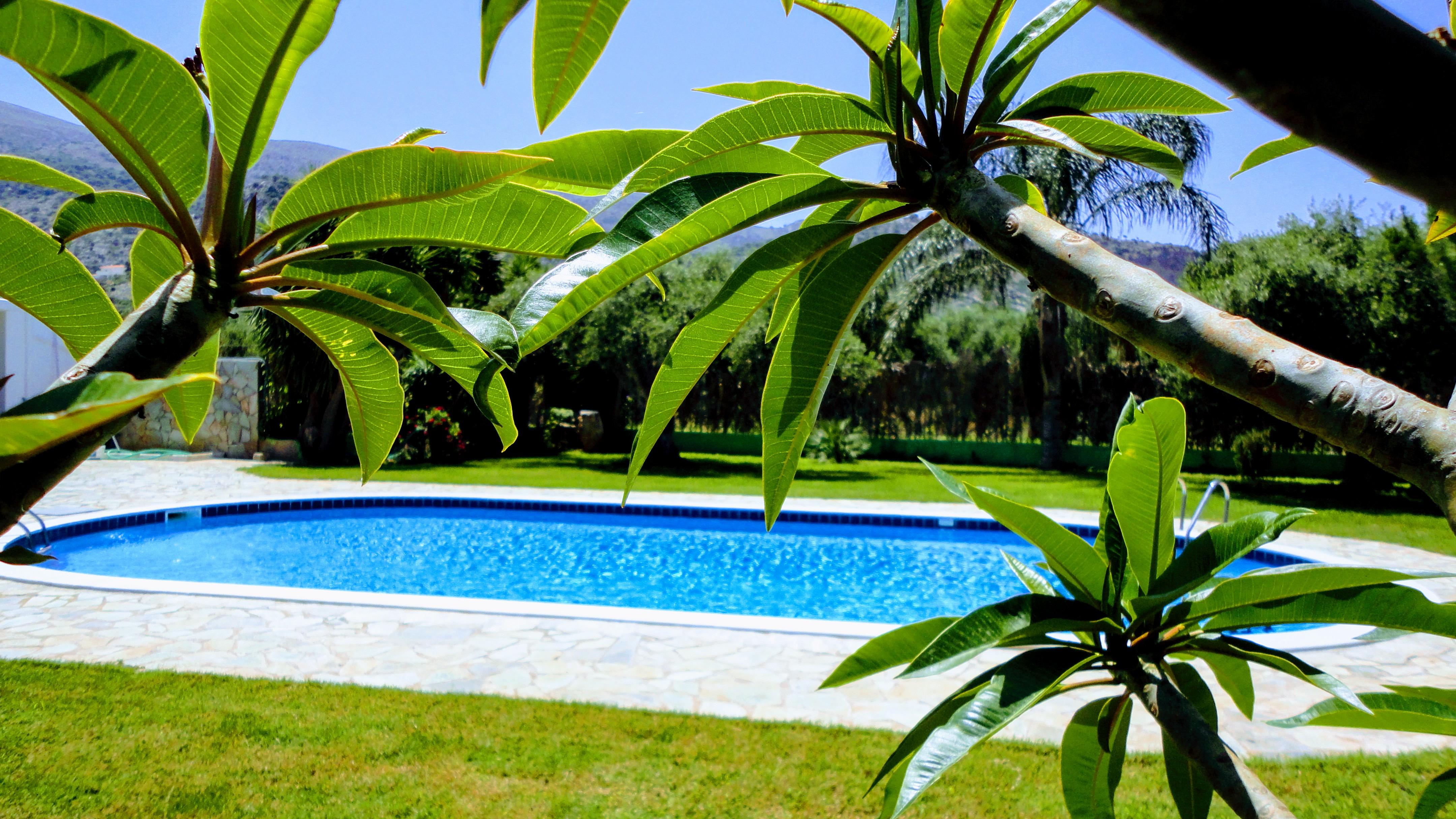 Ibiscus Hotel Malia Zewnętrze zdjęcie